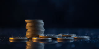 Transparency — clear details about the Vivid Portioniment trading platform